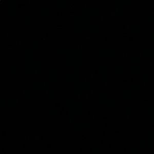 Meet your Posher, Javier